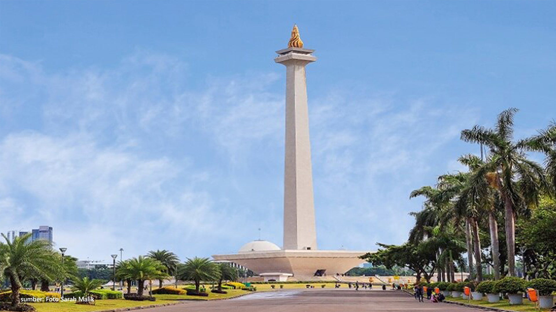 monas4d